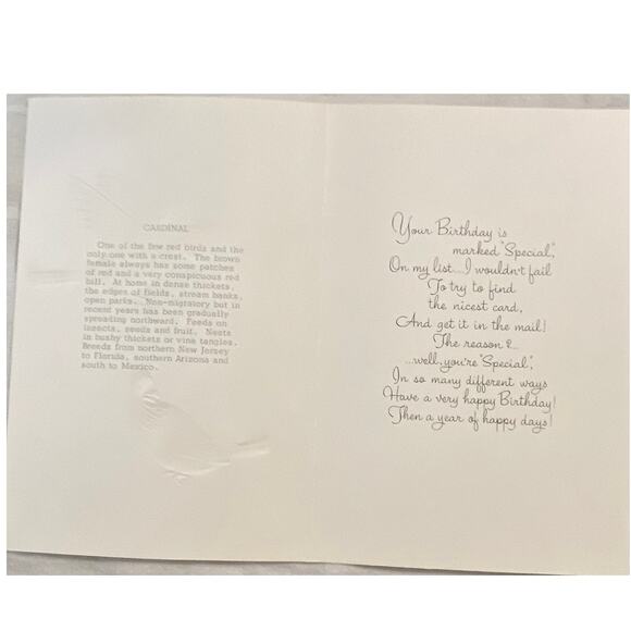Lot 3 Vtg MCM Birthday Card USA 1970s Embossed Cardinal Bird Winged Classic - Picture 13 of 15